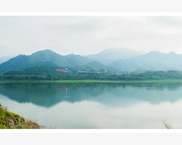 儿童脾胃养护与气血调理指南